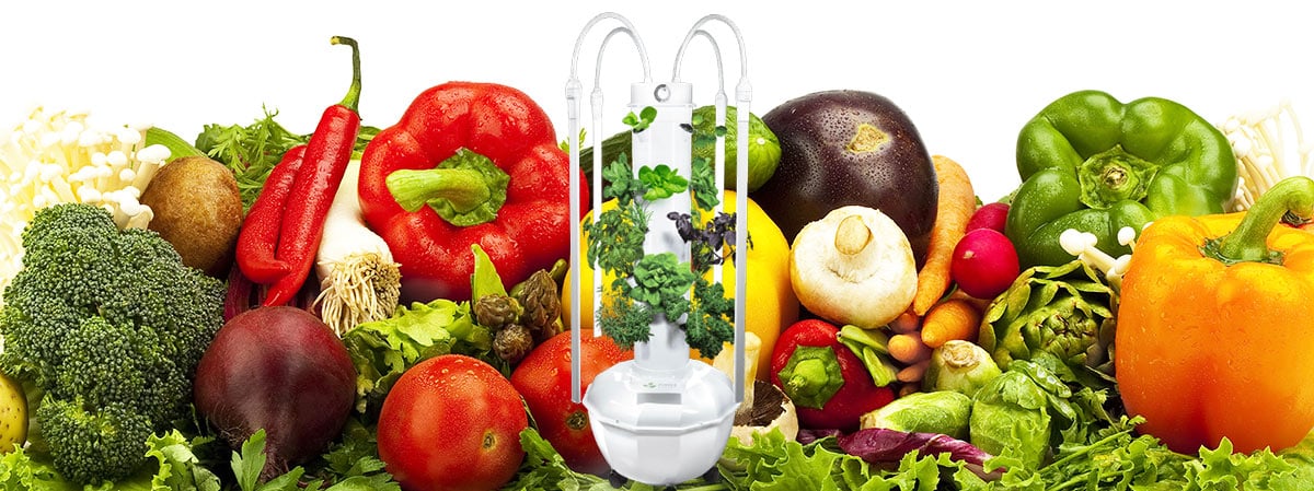 Tower Garden Header